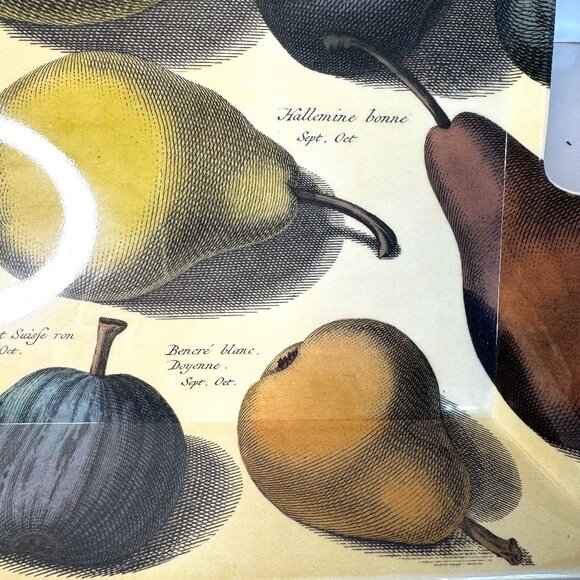 John Derian Target Pear Melamine Large Rectangular Serving Tray Fall Fruit - Picture 4 of 11